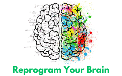 How to Reprogram Your Brain for Success: Practical Neuroscience for Personal Growth