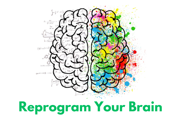brain