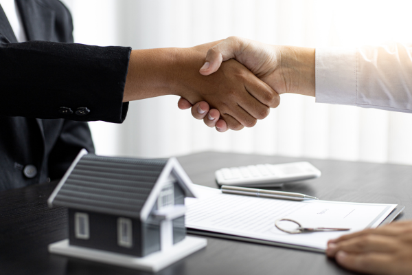 shake hands
