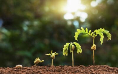 Learning from Edison: The Power of a Growth Mindset and Perseverance | Eliot Hoppe